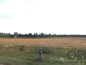 Prodej pole, Březno, 12148 m2