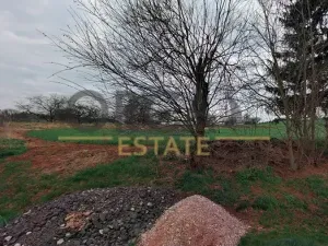 Prodej podílu louky, Pecka, 676 m2