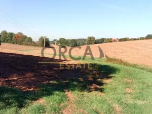 Prodej pole, Petrovice u Karviné, 8614 m2