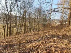 Prodej pozemku, Nemile, 705 m2