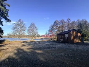 Prodej lesa, Čistá, 1294 m2