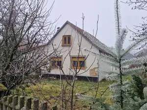 Dražba rodinného domu, Zhoř, 150 m2