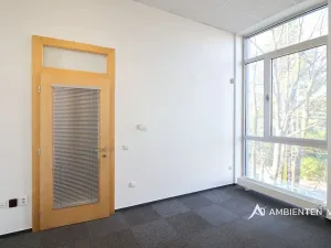 Pronájem kanceláře, Brno, 248 m2