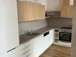 Pronájem bytu 2+kk, Praha - Karlín, Thámova, 95 m2