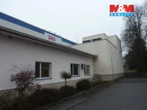 Prodej výrobních prostor, Miletín, Lhotova, 22000 m2