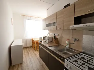 Prodej bytu 1+1, Domažlice, Mánesova, 40 m2