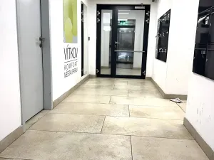 Pronájem bytu 1+kk, Praha - Žižkov, Kališnická, 40 m2