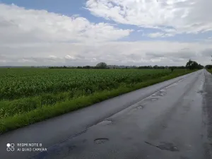 Prodej pozemku pro bydlení, Dolní Ředice, 12434 m2