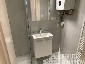 Pronájem bytu 1+1, Praha - Vinohrady, Řipská, 48 m2