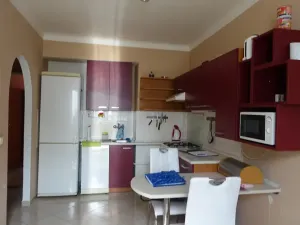 Pronájem bytu 1+1, Brno, Slatinská, 48 m2