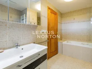 Pronájem bytu 4+kk, Praha - Vinohrady, Italská, 146 m2