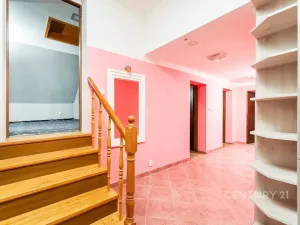 Prodej rodinného domu, Droužkovice, J. Švermy, 229 m2