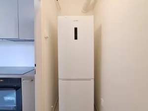 Pronájem bytu 4+1, Ostrava - Moravská Ostrava, Tyršova, 129 m2