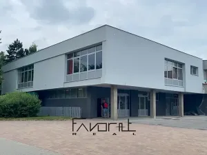 Pronájem obchodního prostoru, Orlová, U Moravy, 30 m2