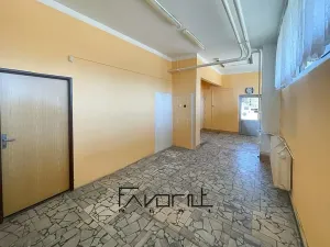 Pronájem obchodního prostoru, Orlová, U Moravy, 30 m2