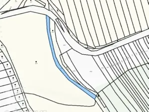 Dražba pozemku, Janovice nad Úhlavou, 4609 m2