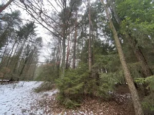 Prodej pozemku, Veliny, 180 m2