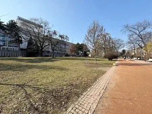 Prodej bytu 1+kk, Brno, Koliště, 31 m2