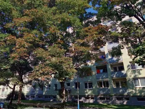 Prodej bytu 3+1, Břeclav, Na Valtické, 69 m2