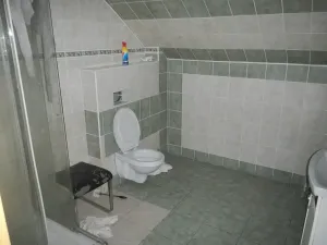 Prodej ubytování, Libenice, 299 m2