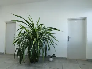 Pronájem kanceláře, Židlochovice, Nádražní, 24 m2