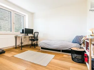 Prodej kanceláře, Brno, Obecní, 287 m2