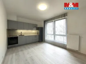 Pronájem bytu 2+kk, České Budějovice - České Budějovice 3, Hálkova, 38 m2