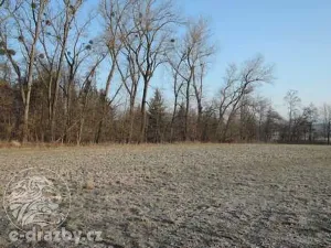 Dražba pole, Semanín, 9293 m2