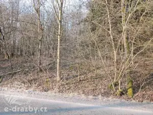 Dražba pole, Semanín, 9293 m2