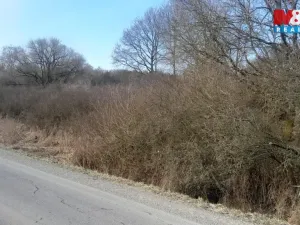 Prodej komerčního pozemku, Jinín, 3389 m2