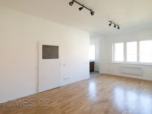 Pronájem bytu 2+kk, Praha - Nusle, U čtyř domů, 60 m2