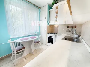 Pronájem bytu 2+1, Hodonín, Erbenova, 56 m2