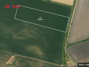 Prodej pole, Chleby, 87342 m2