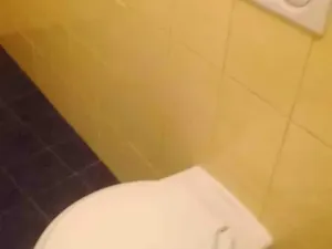 Pronájem bytu 2+1, Prostějov, Fügnerova, 56 m2