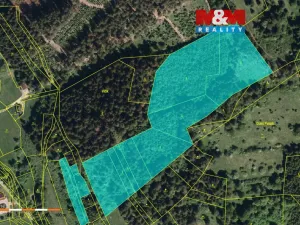 Prodej lesa, Nový Hrozenkov, 61613 m2