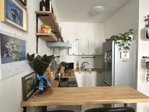 Pronájem bytu 2+kk, České Budějovice, Rudolfovská tř., 34 m2