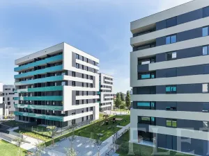 Pronájem bytu 1+kk, Praha - Žižkov, Olgy Havlové, 40 m2