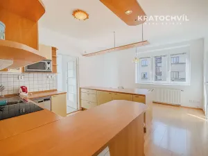 Pronájem bytu 1+1, Praha - Nusle, Na Jezerce, 53 m2