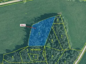 Dražba lesa, Kuřimany, 3340 m2