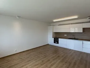 Pronájem bytu 3+kk, České Budějovice - České Budějovice 5, Fr. Škroupa, 69 m2