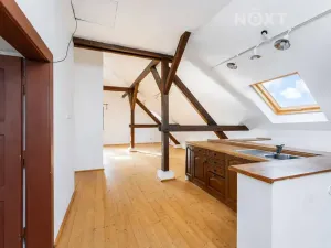 Prodej rodinného domu, Březno, 380 m2