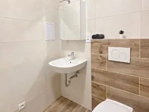 Pronájem bytu 1+kk, Brno, Francouzská, 25 m2
