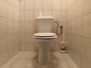 Pronájem bytu 2+1, Kokory, 64 m2