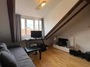 Pronájem bytu 3+kk, Praha - Vyšehrad, Neklanova, 60 m2