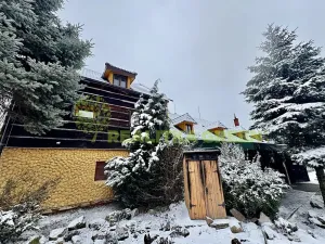 Pronájem bytu 1+kk, Žlutava, 30 m2