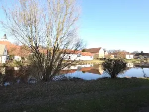 Prodej chalupy, Putim, 95 m2