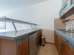 Pronájem bytu 1+kk, Praha - Vysočany, Pešlova, 41 m2
