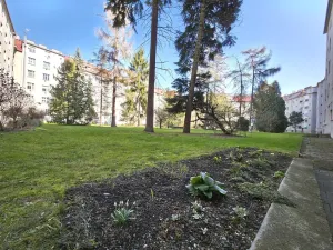 Prodej bytu 2+kk, Olomouc, Šmeralova, 53 m2