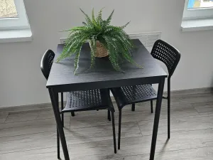 Pronájem bytu 2+kk, Plzeň, Lobezská, 46 m2