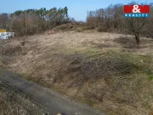 Pronájem zahrady, Opava, U Pevnůstky, 700 m2